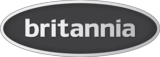 Britannia Washing Machine Repair